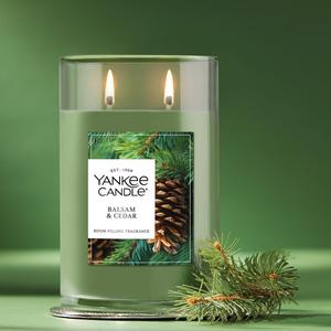 Yankee Candle(R) 20oz. Balsam and Cedar Tumbler Candle