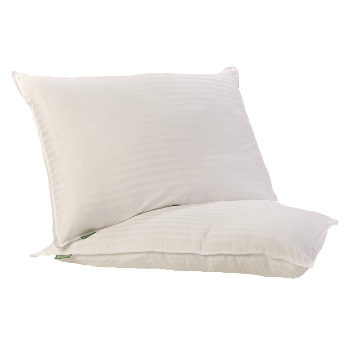 Fern & Willow 2pk. Pillows