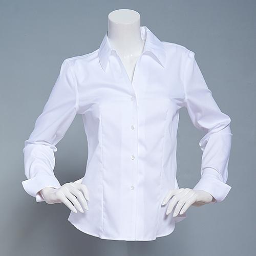 Womens Calvin Klein Long Sleeve No Wrinkle Button Front Blouse