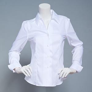 Womens Calvin Klein Long Sleeve No Wrinkle Button Front Blouse