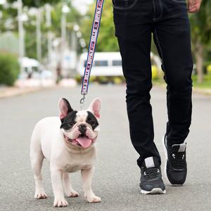 NFL Buffalo Bills Dog Leash alternate view