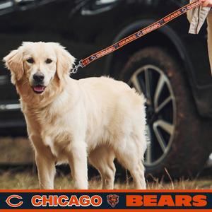NFL Chicago Bears Dog Leash alternate view