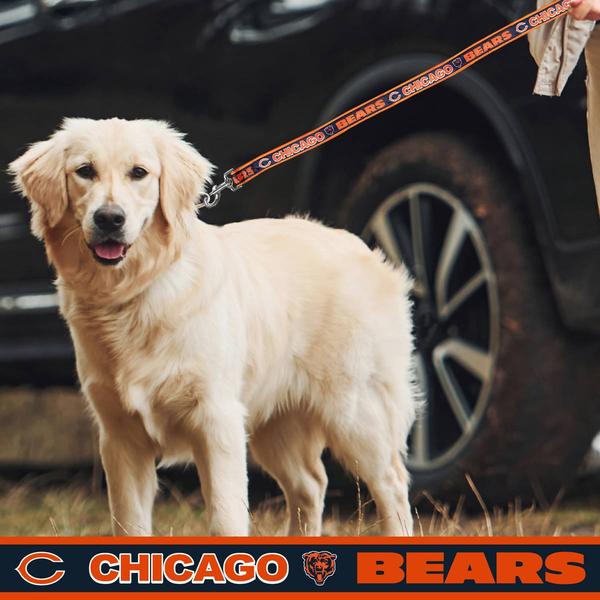 NFL Chicago Bears Dog Leash alternate view