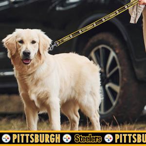 NFL Pittsburgh Steelers Dog Leash alternate view