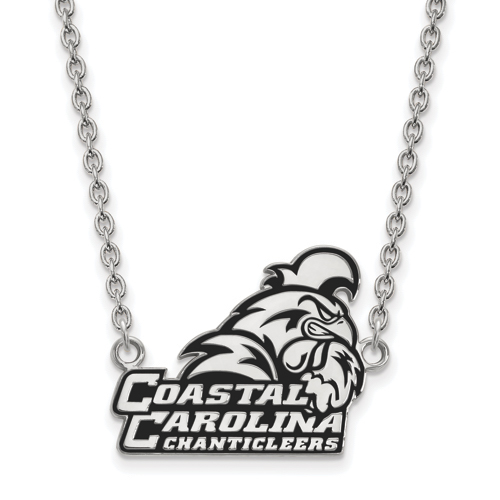 Unisex Coastal Carolina Large Enamel Pendant Necklace