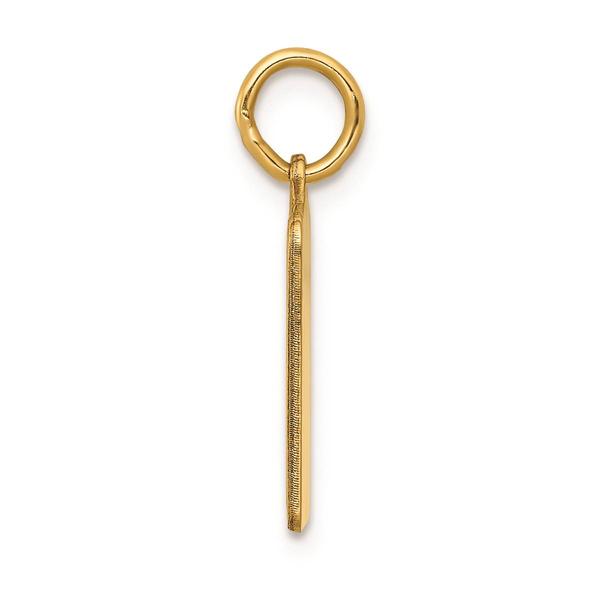 Gold Classics(tm) 14kt. Blue Birth Certificate Charm alternate view