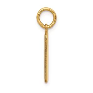 Gold Classics(tm) 14kt. Blue Birth Certificate Charm alternate view