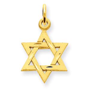Gold Classics(tm) 14kt. Satin Star of David Charm