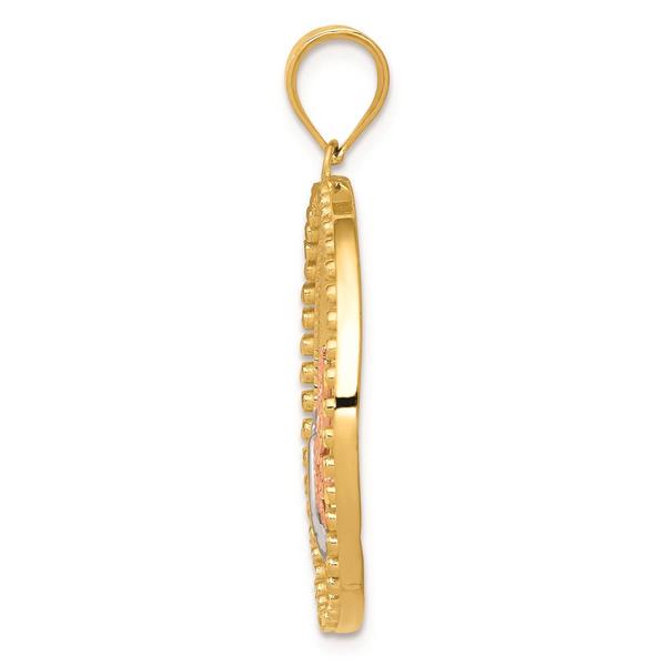 Gold Classics(tm) 14kt. Two-Tone Dragonfly Pendant alternate view