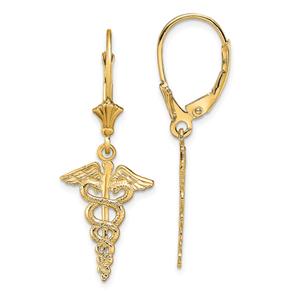 Gold Classics(tm)14kt. Two-Tone Polished Lever Back Earrings