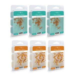 Candle Warmers Etc. 2.5oz. Bahama Beach & Citrus Grove Wax Melts