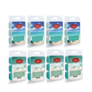 Candle Warmers Etc. Escape to Paradise & Ocean Tide Wax Melts