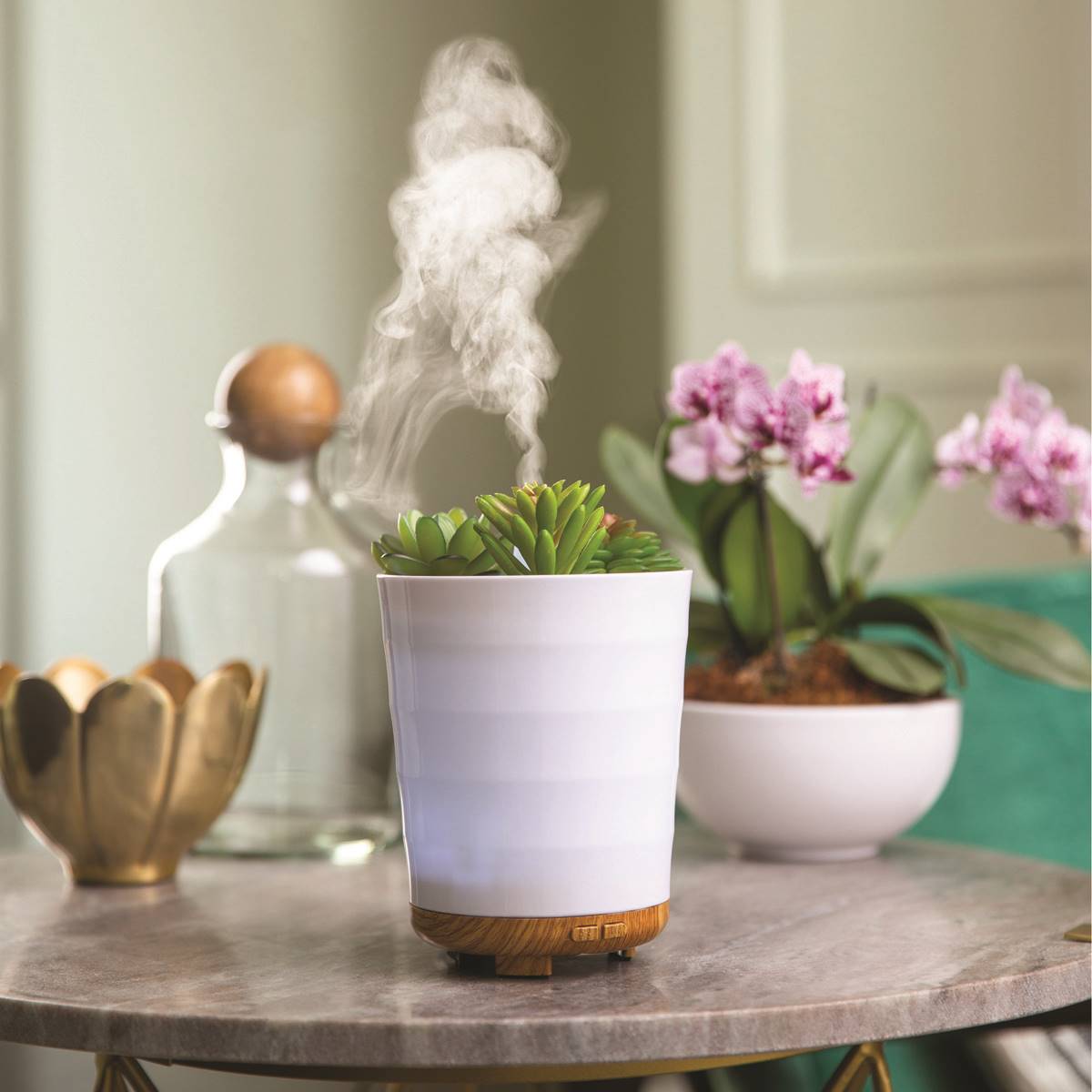 Candle Warmers Etc. Potted Succulent Essential Oil Diffuser