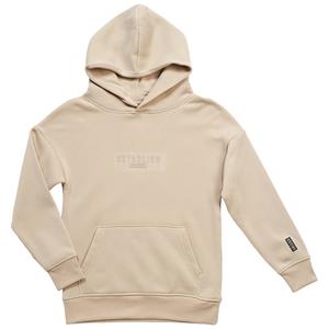 Boys (8-20) SOUTHPOLE(R) Established Relaxed Fit Hoodie