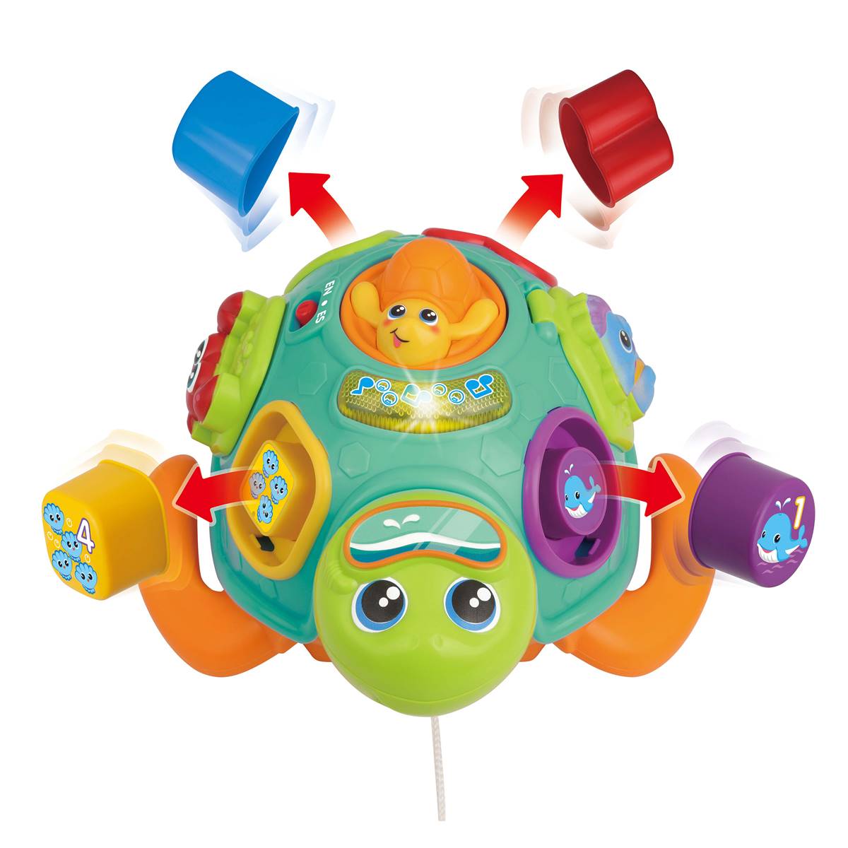 WinFun Pull Along Sort 'N Learn Turtle