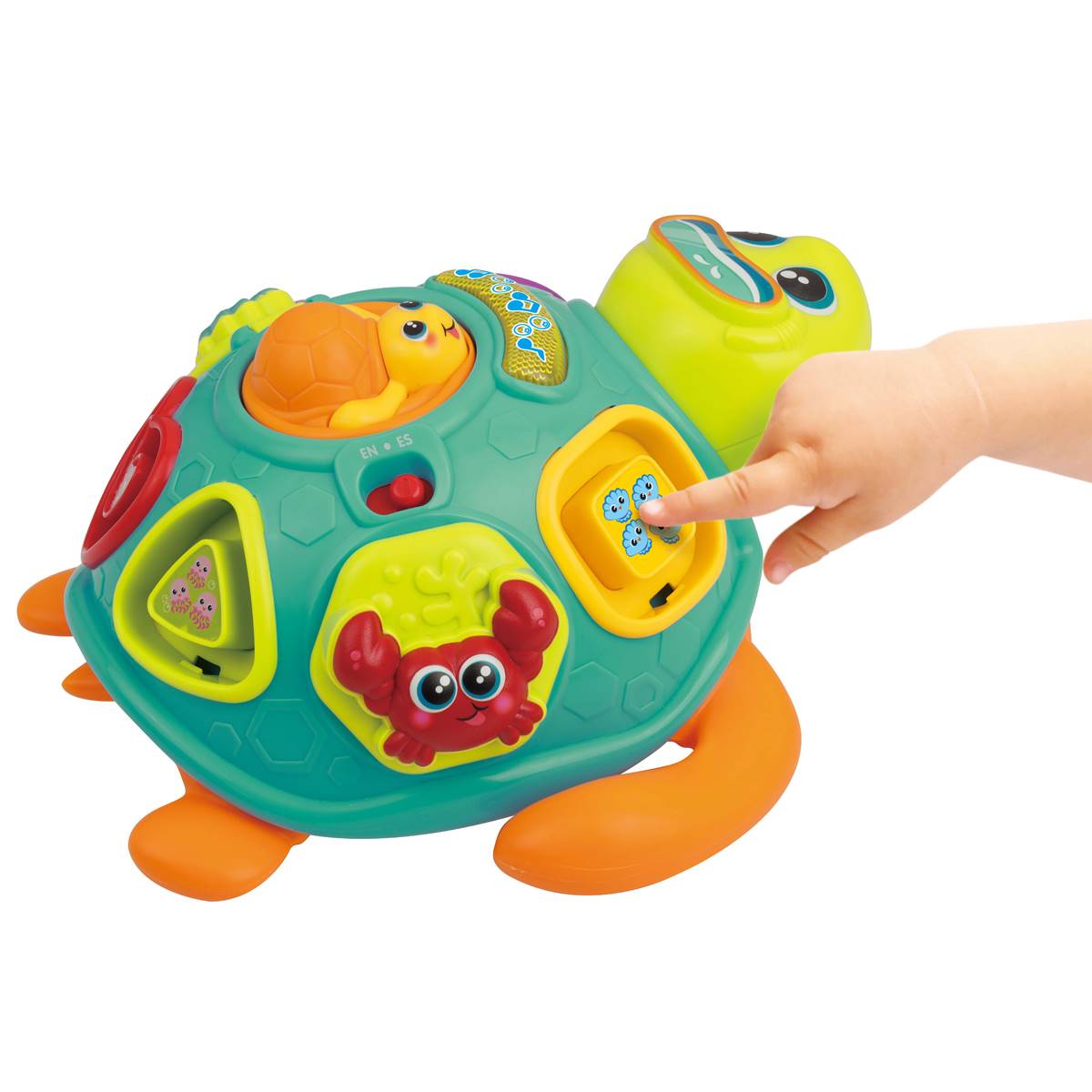 WinFun Pull Along Sort 'N Learn Turtle