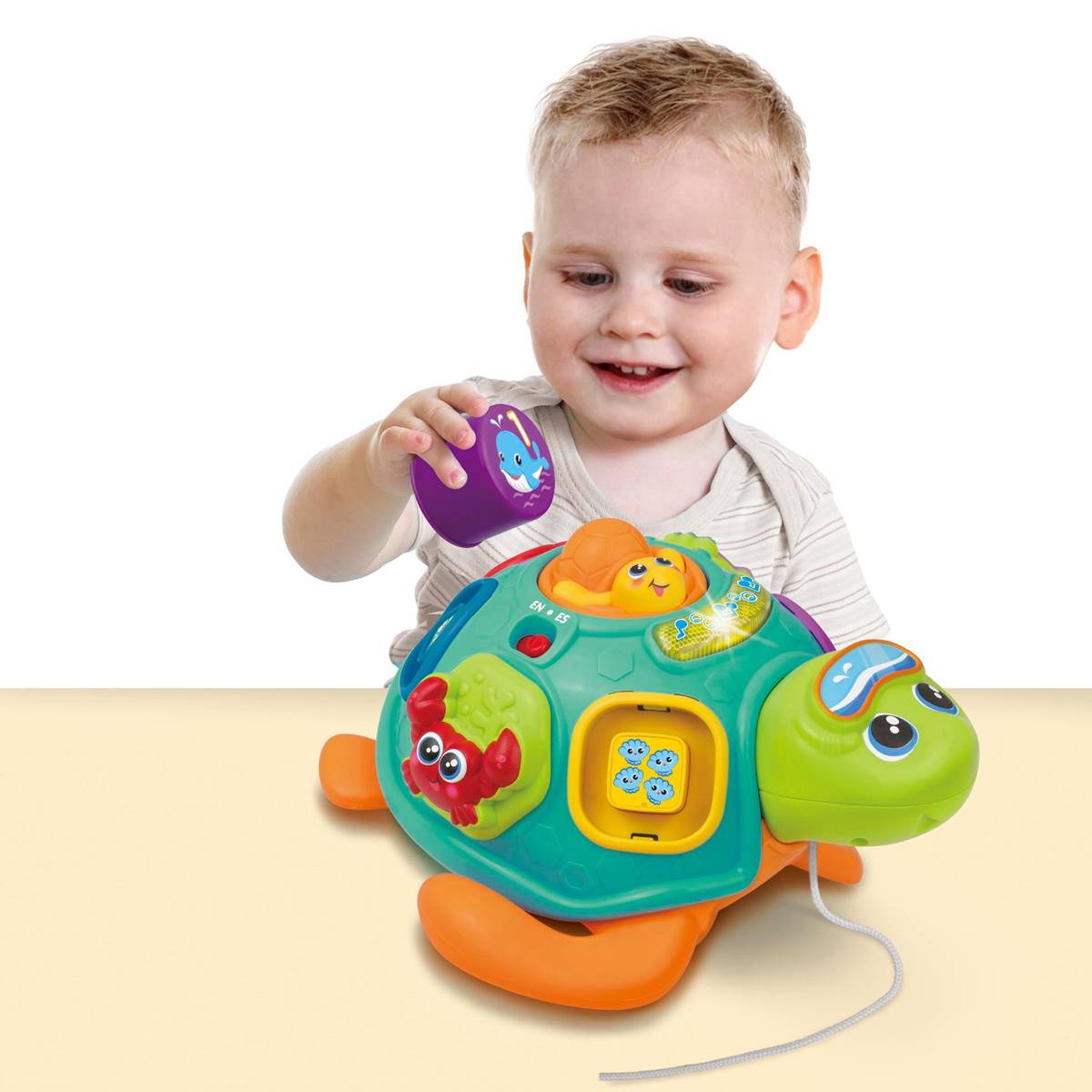 WinFun Pull Along Sort 'N Learn Turtle