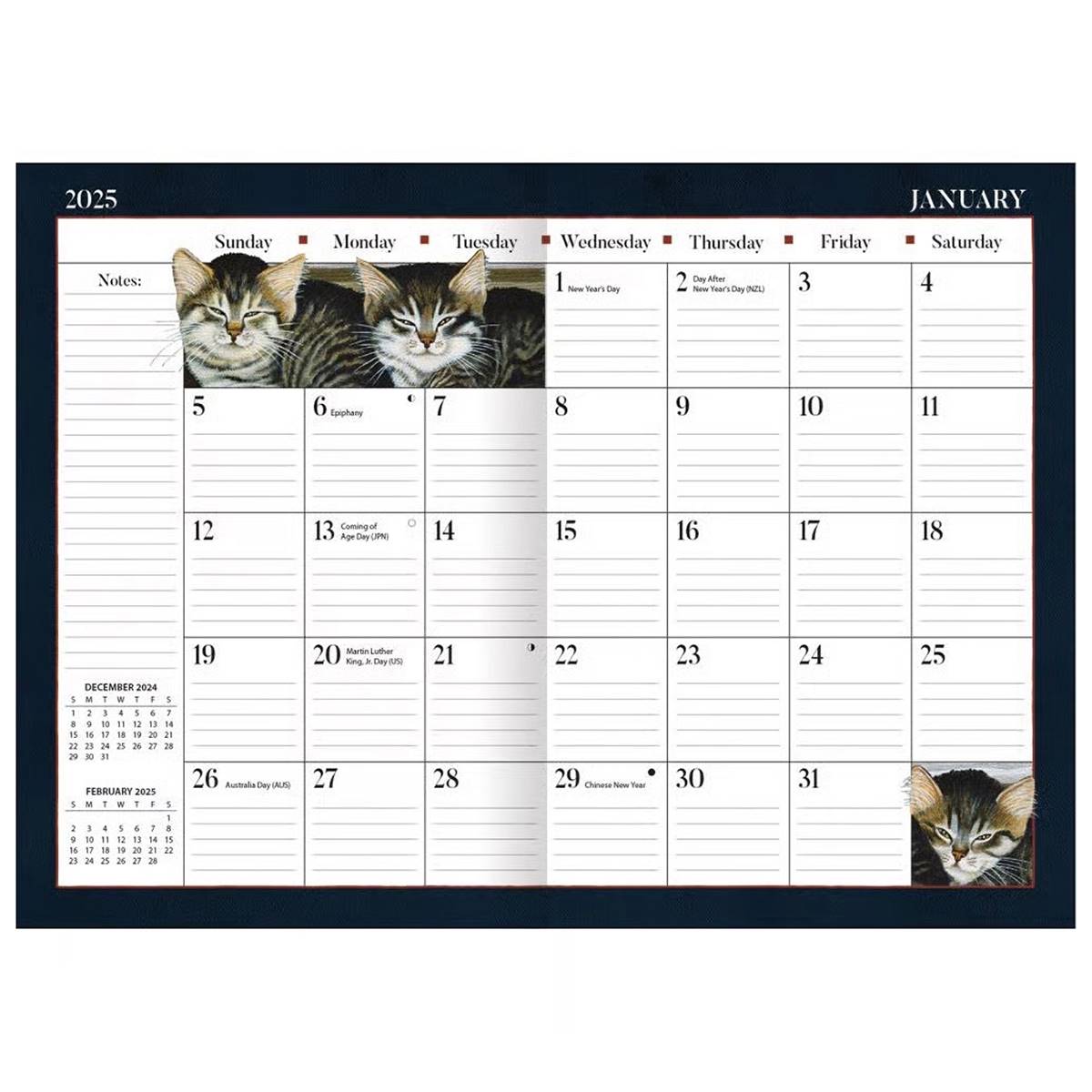 Lang(R) American Cat 2025 Monthly Pocket Planner