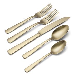 Oneida Aptitude Champagne Satin 20pc. Flatware Set alternate view