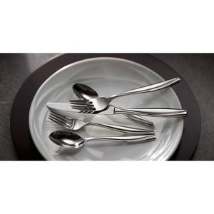 Oneida Camlynn Mirror 20pc. Everyday Flatware Set alternate view