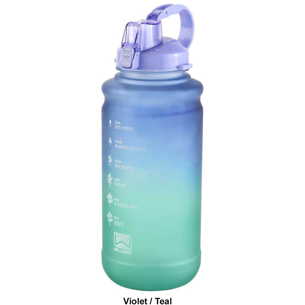 Wellness 101oz. Sports Bottle