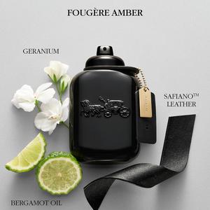 Coach For Men Eau de Parfum alternate view