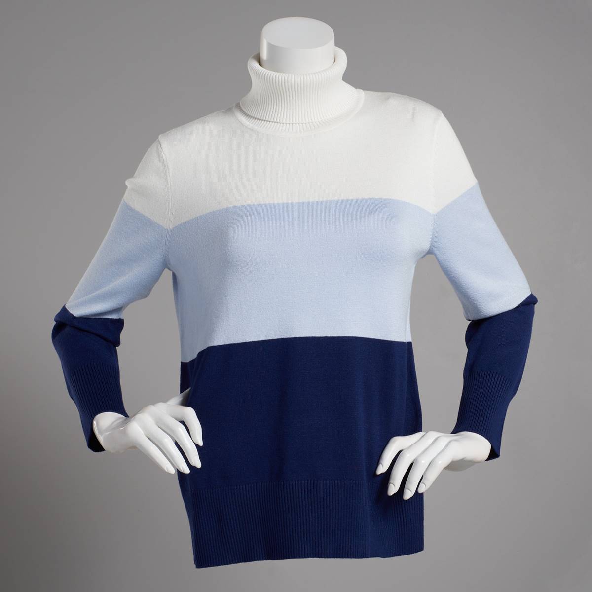 Petite Retrology Color Block Turtleneck Sweater