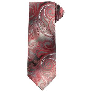 Mens Architect(R) Dixie Paisley Tie alternate view