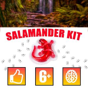 World Tech Toys Amazing Creatures Salamander Dissection Kit alternate view