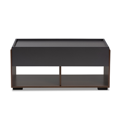 Baxton Studio Rikke 2 Drawer Coffee Table