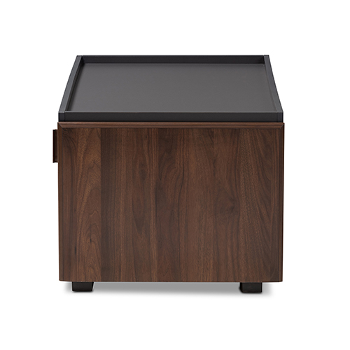 Baxton Studio Rikke 2 Drawer Coffee Table