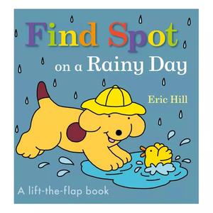 Find Spot on a Rainy Day Book