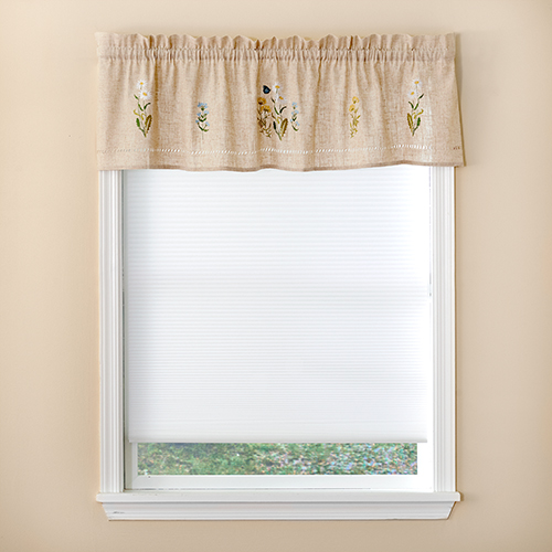 Snapshots Daisy Valance - 58x14