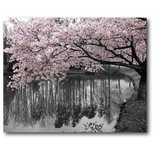 Courtside Market Pink Springblooms I Wall Art