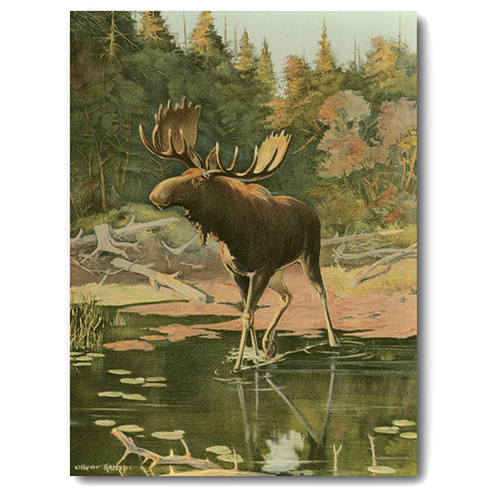 Courtside Market Lewis At The Lake Canvas Wall Art