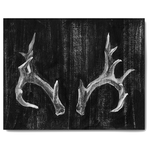 Courtside Market Antlers Canvas Wall Art