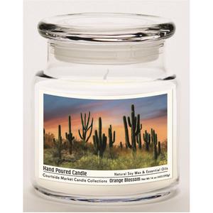 Courtside Market(R) Pheonix Cactus 16oz. Orange Blossom Jar Candle