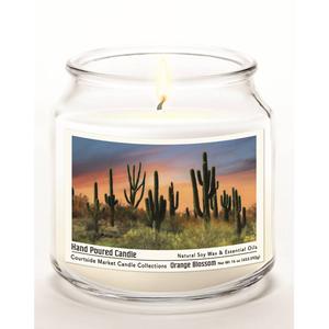 Courtside Market(R) Pheonix Cactus 16oz. Orange Blossom Jar Candle alternate view