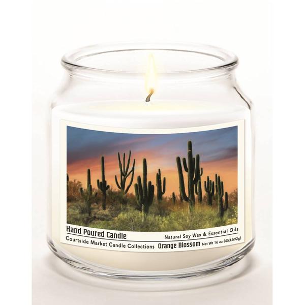 Courtside Market(R) Pheonix Cactus 16oz. Orange Blossom Jar Candle alternate view