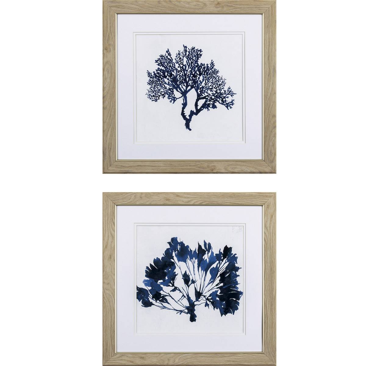 Propac Images(R) 2pc. Indigo Coral B Wall Art