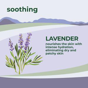 Petal Fresh Soothing Lavender Body Wash alternate view