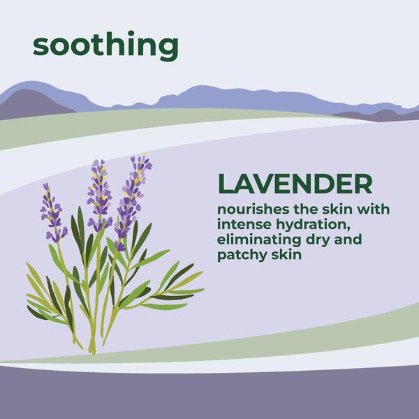 Petal Fresh Soothing Lavender Body Wash alternate view