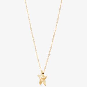 Gold Classics(tm) 10kt. Yellow Gold Starfish Pendant Necklace alternate view