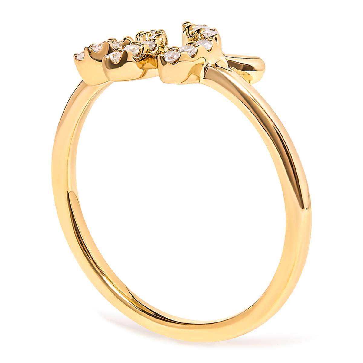 Haus Of Brilliance 10kt. Yellow Gold 1/10ctw. Diamond Leaf Ring