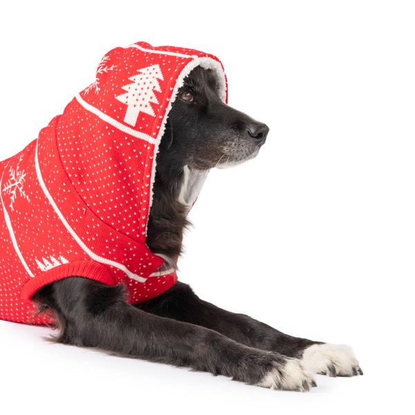 Snowflake Tree Hooded Pet Jacket alternate view