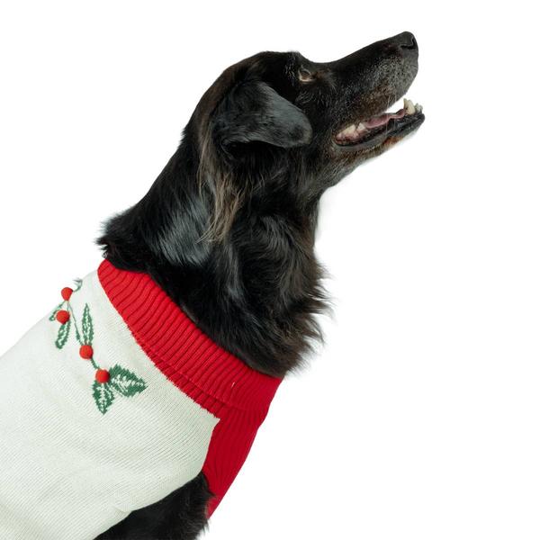Holly Berry Pet Sweater
