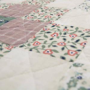 Donna Sharp April Patch 3pc. Reversible Cotton Pieced Quilt Set alternate view