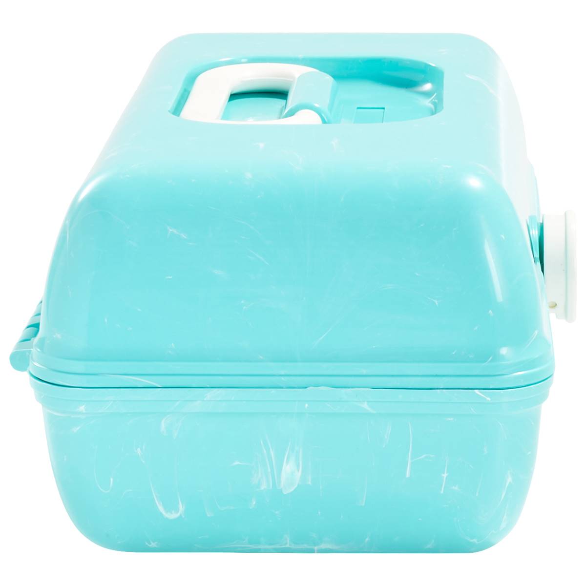 Womens Caboodles On The Go Girl Seafoam Cosmetic Case