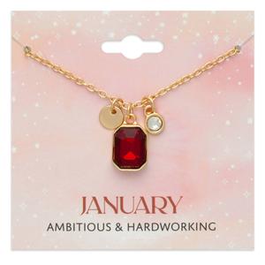 January Birthstone Crystal Charm Pendant Necklace