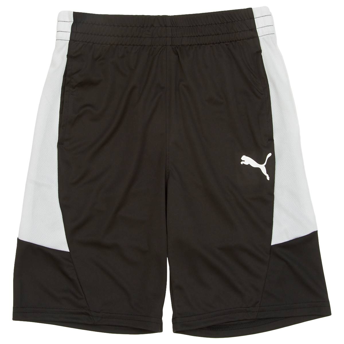 Boys (8-20) Puma(R) Polyester Active Shorts